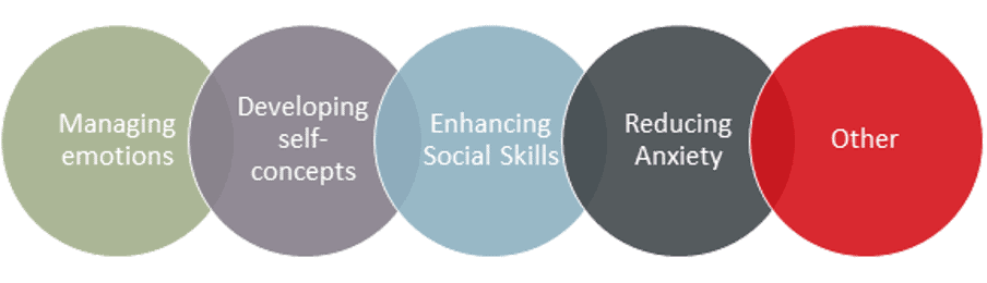 SEND intervention Image of the 5 SEND interventions: 1. Managing emotions 2. Developing self concepts 3. Enhancing social skills 4. Reducing anxiety 5. Other